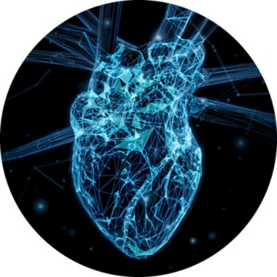 Cardiology Pacs Image